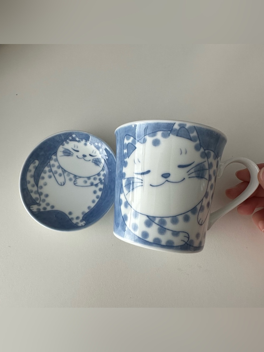 Blue Cat Ceramic Pet Dish and Mug Set